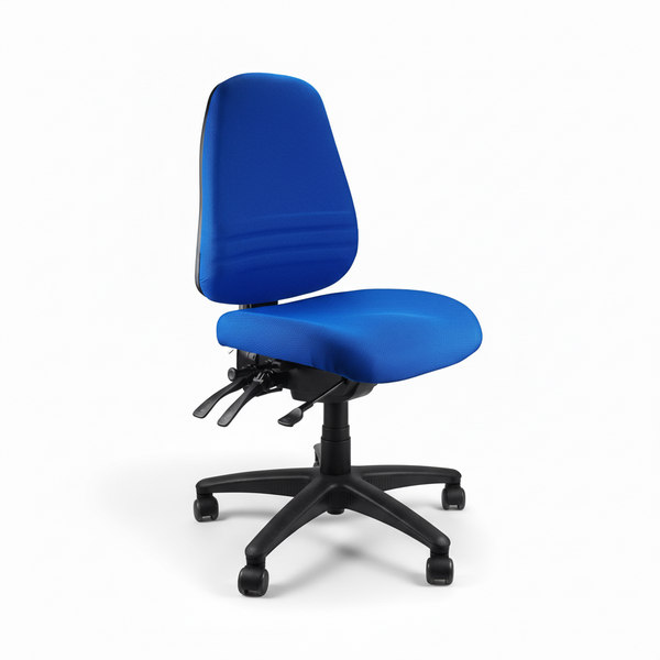 Endeavour 103 Ergonomic Office Chair No More Pain Ergonomics