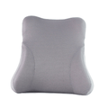 Lumbar Support Cushion - High