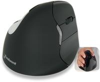 Best Ergonomic Mouse for Apple Mac Computers