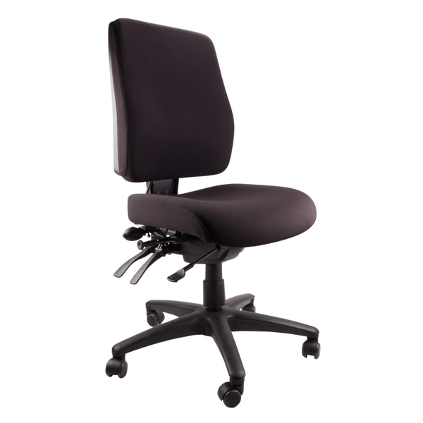 Ergofit Ergonomic Chair Customise Your Ergonomic Chair No More Pain