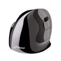 Evoluent Vertical Mouse - D Series