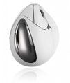 Evoluent VMR4 for Mac OS - No More Pain Ergonomics