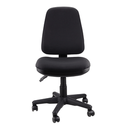 Middy Ergonomic Office Chairs