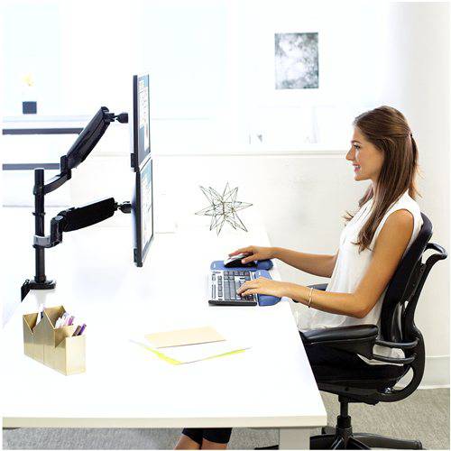 Computer Monitor Arm - Fellowes Platinum Monitor Arm - Dual Stacking